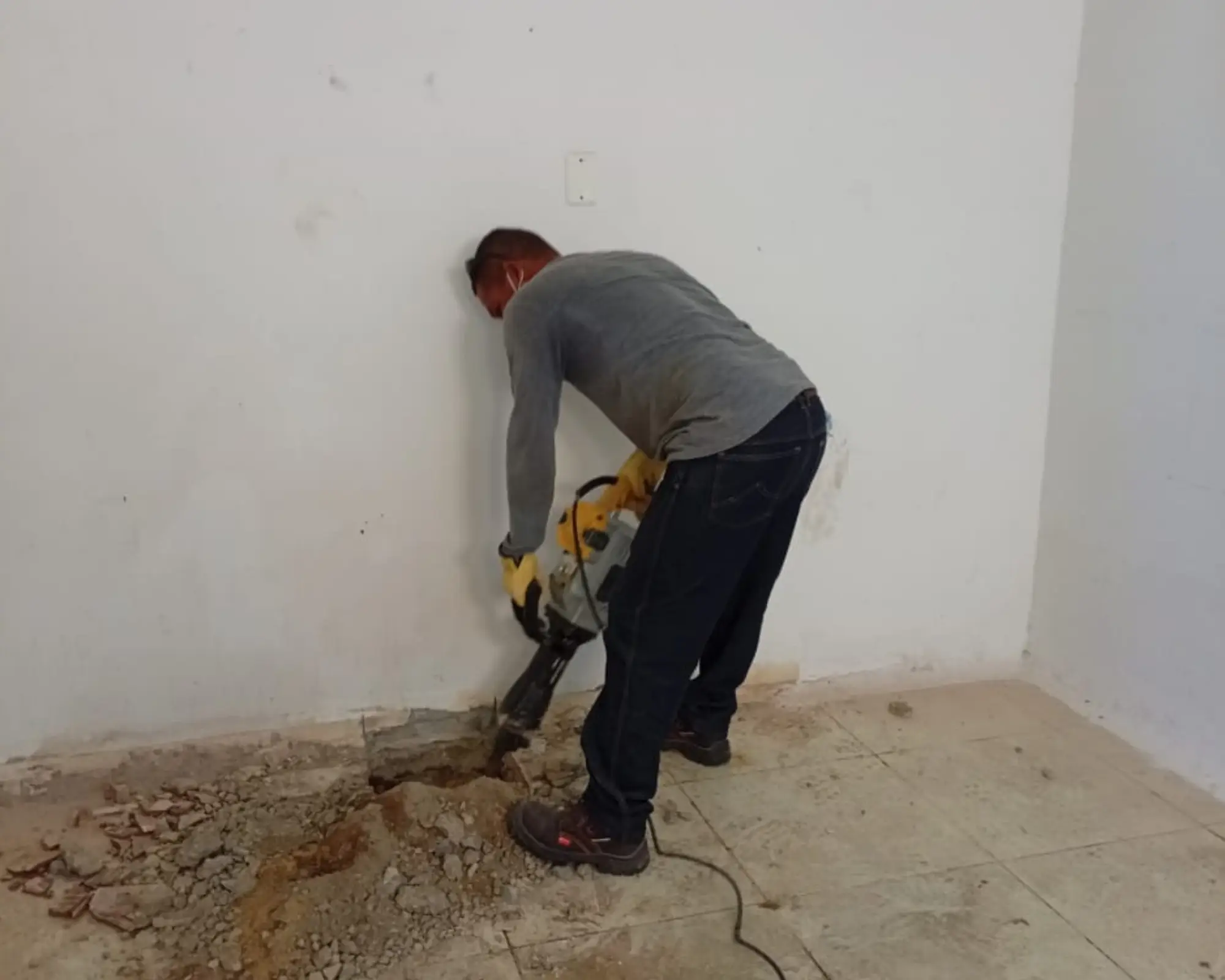 Primer registro fotográfico del proyecto instalación de puente grúa y polipasto en un anfiteatro de animales