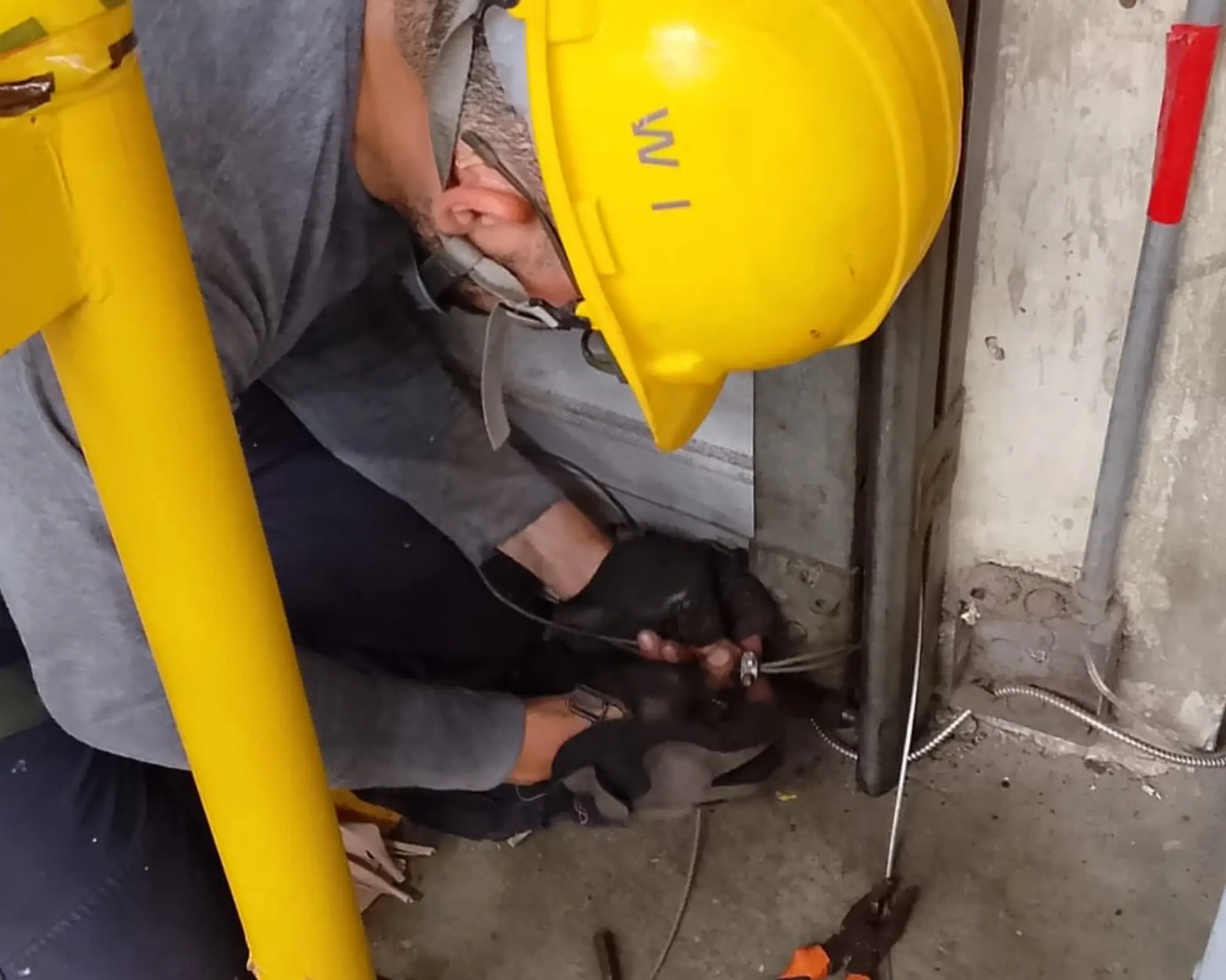Tercer registro fotográfico del proyecto reparación de puertas seccionales en muelles de bodega